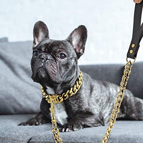 Нашийник-Верига за кучета Didog Gold, Метален Нашийник-Задуши 19 мм, с Дизайнерски Стабилна Катарама, на Кубинското