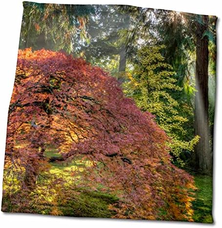 3. Есенни японските градини в Портланд, щата Орегон, САЩ - Кърпи (twl-190055-3)