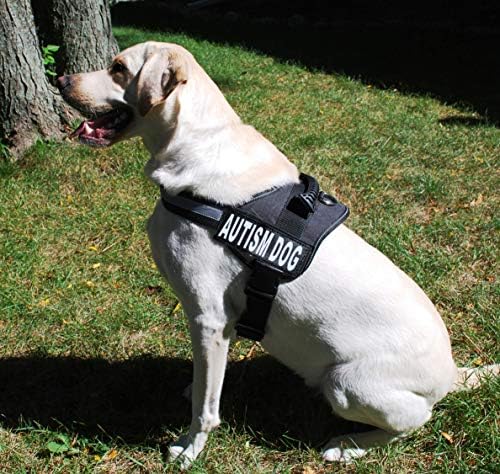 Doggie Stylz Комплект от 2 ивици за кучета с аутизъм, сменяеми светлоотразителни сменяеми ивици с подплата на
