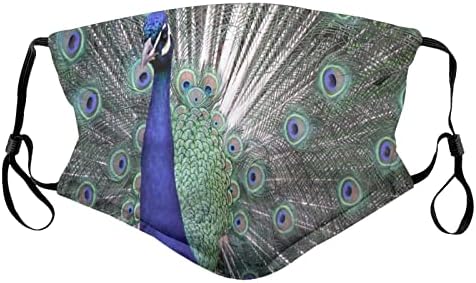Моющаяся Маска За Лице с 2 броя Филтри Animal Beauty Peacock Дишаща Маска За Лице
