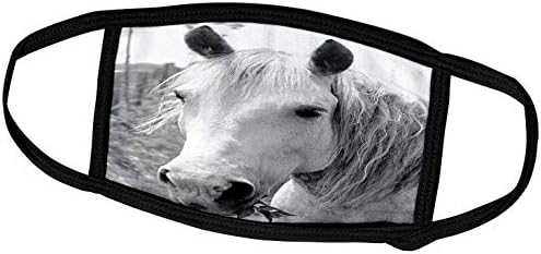 3dRose TDSwhite – Снимки на коне - Кон Дъвча Трева - Маска за лице (fm_285507_2)