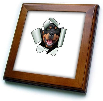 3. Куче ротвайлер в карикатура стил, высовывающая главата от разкъсани устни. - Плочки, в рамката (ft-375755-1)