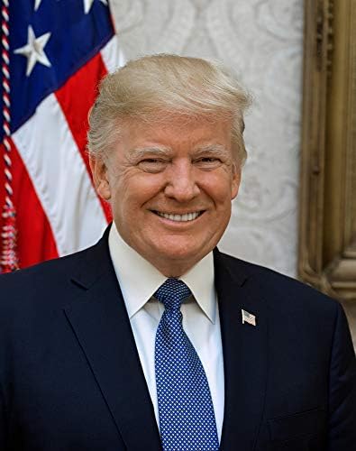 Снимка на Доналд Тръмп - Историческо произведение на изкуството 2017 година - Портрет на президента на САЩ - (11