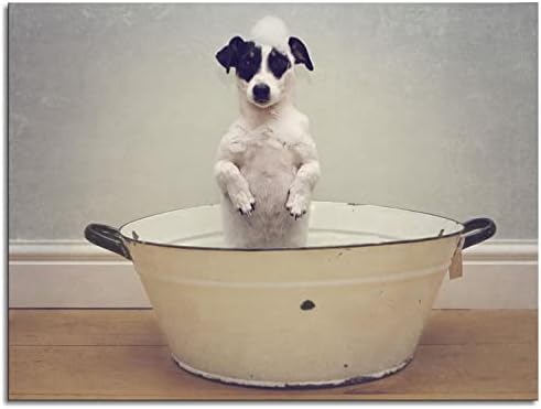 Плакат За Баня с Кучето, Сладко черно-бяло Куче, Стоящи В Банята, Щампи Върху Платно, Монтиране на Изкуството За Домашен Офис
