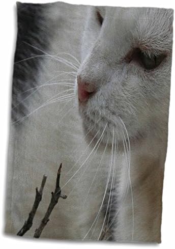 3 Погрижете се за проследи Мустаци - черно-бяла котка, котка, котки, скъпа, домашен любимец, домашен любимец. - Кърпи (twl-46780-3)