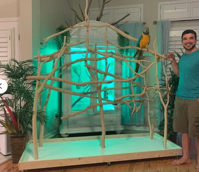 Поставка за птици ExoticDad XL - Персонализиране на вашия курник Специално разработена Поставка за костур от естествен Драконьего дърво на колела за папагал какаду, поп?