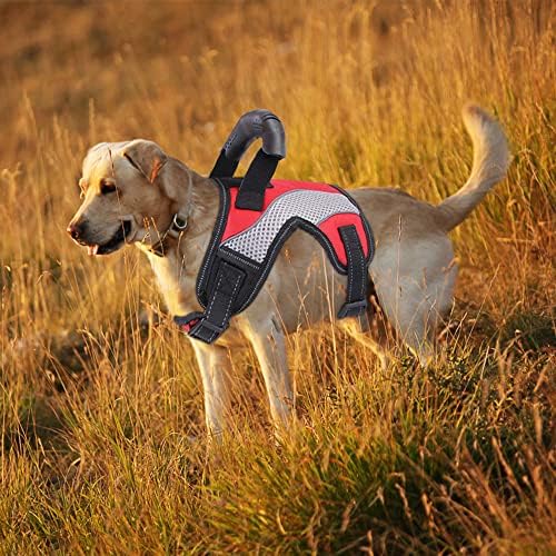 Гърдите колан, за домашни любимци Голям и Среден размер, устойчив на удари Дишащ Колан за куче ходене (XL, червен)