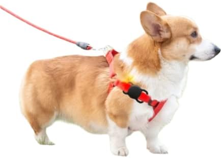 символичен-яка dogberman за въздушна етикети - нашийник за кучета с въздушна етикет, нашийник за кучета с въздушна