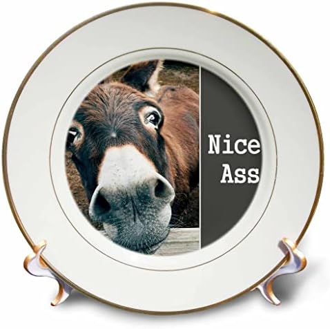 3dRose Nice Ass - Сладък Магаретата, Хумор, Забавна Шега за задника на Животното, В Банята и тоалетната Чиния