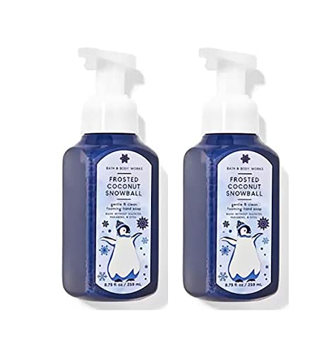 Средство за баня и тяло Winter Fresh Air Нежно Пенящееся сапун за ръце 8,75 Унции, 2 опаковки (Свежия зимен въздух)