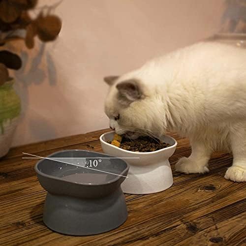 Котешки Паници с Вдигнати Мисками за Котешки храна, наречена Elevated Cat Bowl Купа с вдигнати мисками за Котешки храна