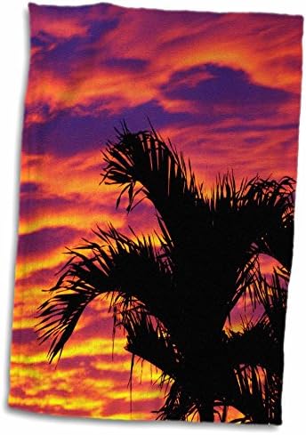 Кърпи 3dRose Florene Tropical Sunset - Само Последната нощ (twl-11447-1)