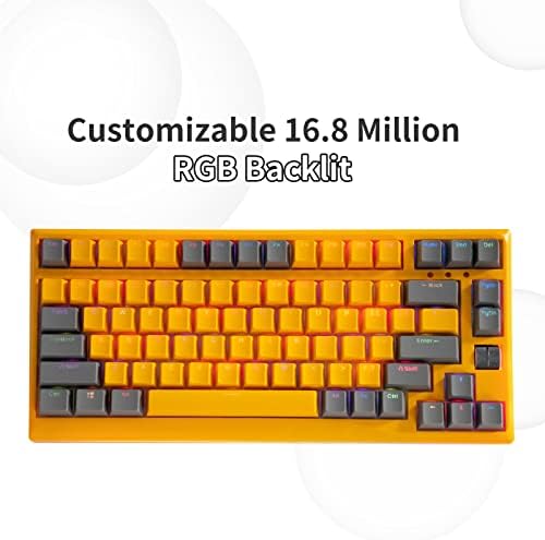 Ръчна Безжични и Жични клавиатура Taiahiro 980 80% Compact TKL RGB, капачки за комбинации PBT, свързване