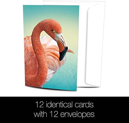 Поздравителни картички без коледни елхи EcoNotes 12 Count Deco Flamingo, набор от картички за всички поводи с конвертами,