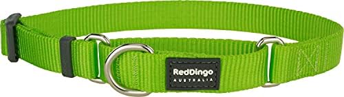Класически Нашийник Red Dingo Martingale, Среден размер, Лаймово-зелена