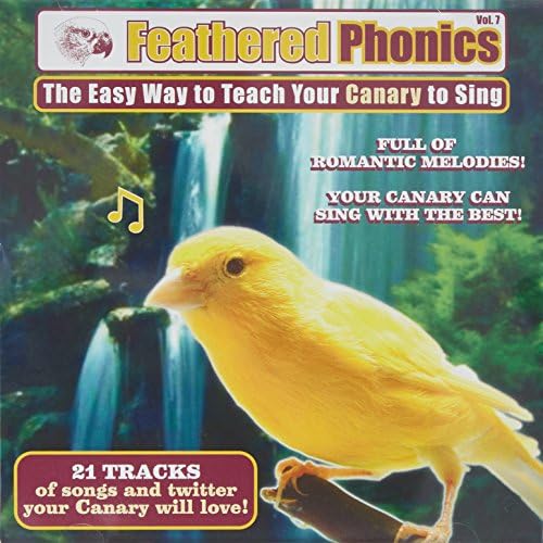 Акустика пернати Е 7: Лесен начин да си канарче пее