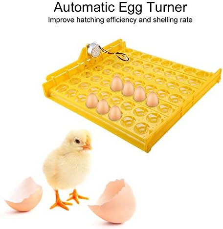 Pssopp 56 Яйца Мини Инкубатор-Хатчър Цифров Инкубатор-Хатчър за Доставка на Кокоши яйца Напълно Автоматично Завъртане