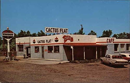 Стандартно обслужване и кафенета Cactus Плоски, Южна Дакота SD Оригиналната Реколта Картичка