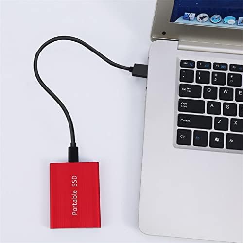 LLAMN Портативни SSD, USB 3.0 USB-C 1 TB 500gb Външен твърд диск на 6.0 Gbit/с Външен твърд диск за десктоп камера на лаптоп или сървър (Цвят: бял-Динозавър Doodle4, Размер: 1 TB)