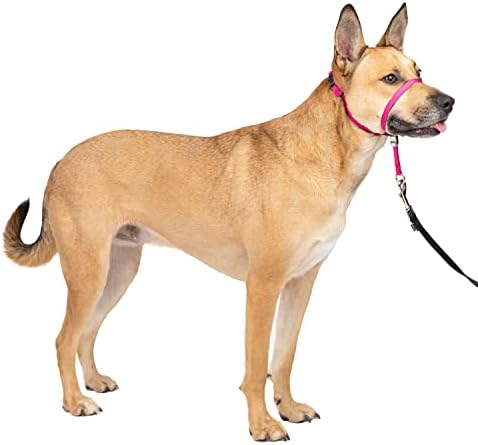 Нашийник за кучета PetSafe Нежно Leader, не е еластичен, пурпурно-розов и найлонова Каишка за кучета - Здрав, издръжлив