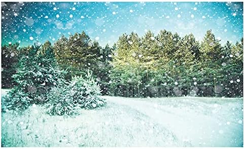Зимна Керамична Поставка за четка за зъби Ambesonne, Дизайн на Принт в стил гръндж с образа на Снежна природа, Гори, Студена