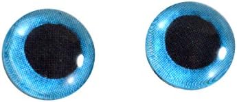 10 мм Синята Снежна Сова Стъклени Очи Куклени Ириси за Художествена Таксидермии от Полимерна Глина, Скулптура или Бижута, Комплект