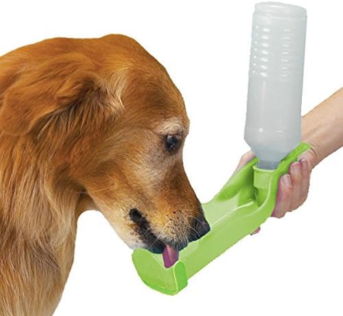 Преносима бутилка за вода за кучета в Кампаниите на 17 унции Handi Drink - Изберете цвят (Handi Drink Обикновен - Папоротниковый)
