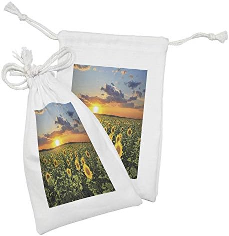 Текстилен калъф Ambesonne с подсолнухом, Комплект от 2 теми, Лятна Панорама на природата, на Полето Цъфтящи цветове на фона на снимки от Облаци на залез слънце, Малка Чан?