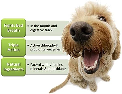 Fresh Breath TABS - за дъвчене ментови бонбони за кучета. Средство тройно действие за хигиена на устната кухина