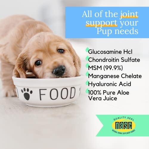 LIQUIDHEALTH 32 Грама Течен Глюкозамин за кучета и Хондроитина за кучета с ниво на глюкозамин 5000 за К9, ПРИЛОЖИМО за големи кучета и породи, За здравето на Тазобедрените ст?