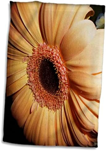 3. Кърпи Gerber daisy бледо оранжев цвят (twl-201706-3)