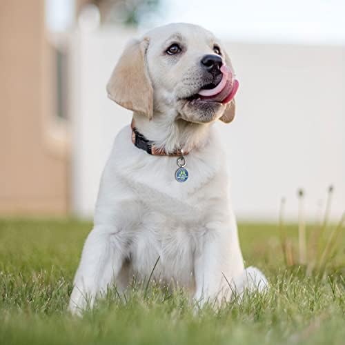 Символи за кучета с QR-код DISONTAG Персонални идентификационни етикети за домашни любимци - Създаване на етикети