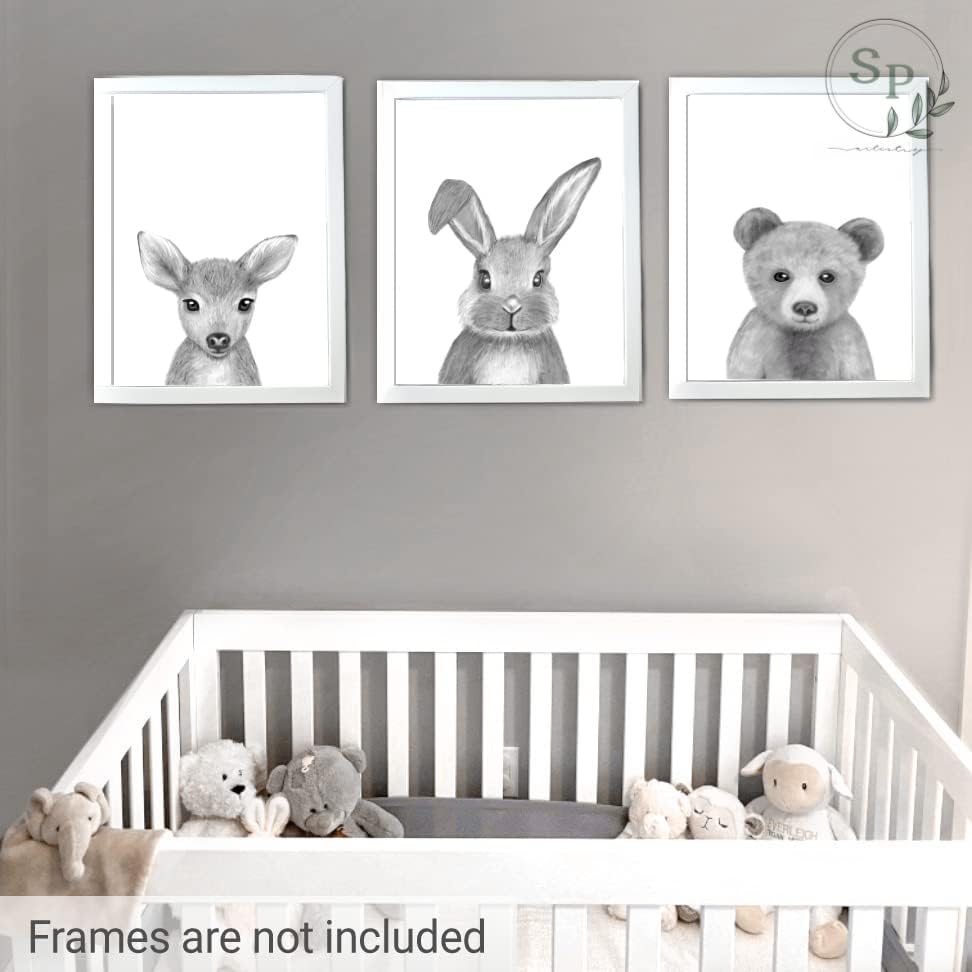 Комплект от 3 Рисунки за детска стая с горски животни | 11 x 14 | Мечката, Заекът и Елена, монтиран на стената, определени