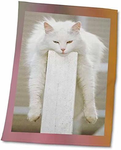 3dRose Florene Cats - Пухкави Кърпи за сън (twl-16807-1)
