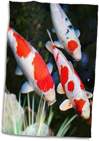 3. Риба Флорен - японската оранжево с бяла риба Koi - Кърпи (twl-62378-1)