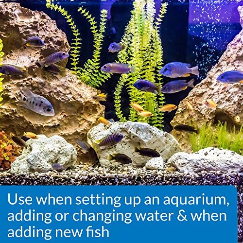 API Quick Start Нитрифицирующие Бактерии за аквариуми с прясна и солена вода, бутилка на 32 грама и Антистрессовое floor, desk