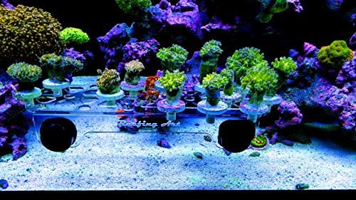 Грапавата художествена магнитна стойка за коралови отломки с сильнейшими магнити N52 побира до 41 щепсела (максимално голям)