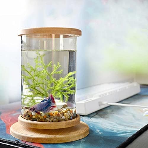 ZLBYB Въртящи се на 360 градуса Стъклен Аквариум Betta с бамбукова основа, Мини-Украса за вашия аквариум, Въртяща се Купа за риба, Аксесоари за аквариума (Цвят: Зелено раст?