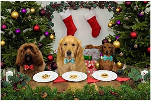 Универсален 1 Коледен Комплект Нашийник с папийонка Снежен Коледен Цвете Нашийник за Кучета-Голяма Средна и Малка порода (Цвят: