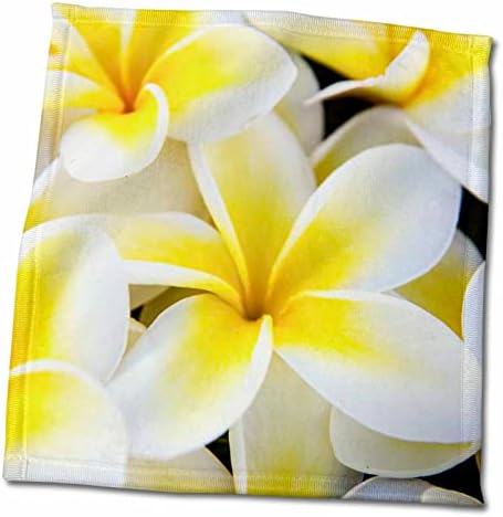 3dRose САЩ, Хавай, Мауи, Големия план на цветя плюмерии - Кърпи (twl-259246-3)