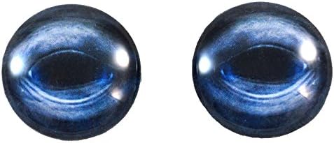 Чифт Сини очите на Кит 25 мм 1 Инч за Скулптури Таксидермии или Производство на Бижута Окачване Занаяти Художествена