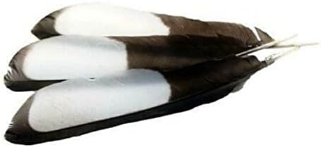 10 Бр Пера от крилата на свраките - Евразия - на 5-7 см - Естествени черно-бели