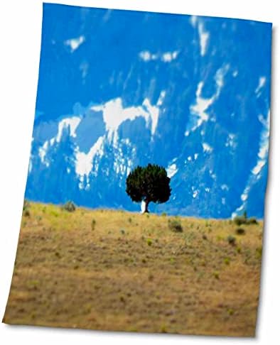 3 Нарисувайте дървото, видими от разстояние, което изглежда дребничка на хълма - Кърпи (twl-263412-3)