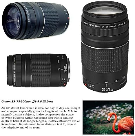 Комплект обективи Canon EF 75-300 мм III и 500 мм f/8.0 е с предварително ръчно фокусиране с адаптер EF-EOS M за камери
