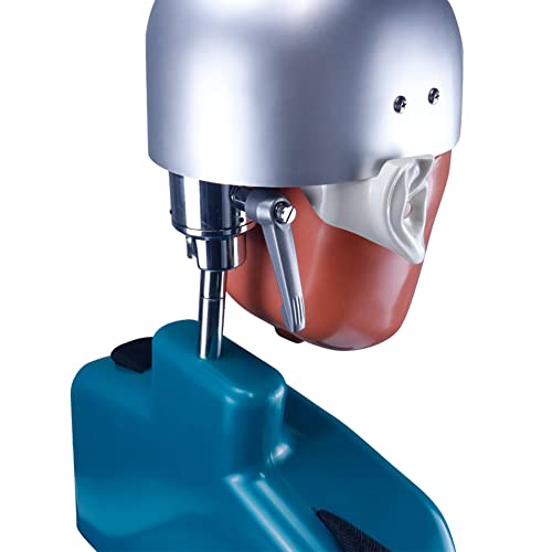 Стоматологичен Симулатор Manikin Phantom Head Модел Стоматологична Фантомна Глава с през скута Скамейным Монтиране Phamtom