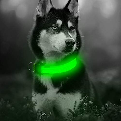 Нашийник за кучета Illumifun LED, USB Акумулаторна нашийник за кучета с подсветка, Отразяваща Защитна яка Ще направи вашите кучета безопасни и забележими през нощта (зелен