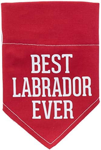 Pavilion е Подарък от компанията Палата-най-Добрият лабрадор в историята на Червено Платно нашийник за кучета с Голям размер -Кърпа за домашни любимци 12 x 8 инча, 12x8 инча