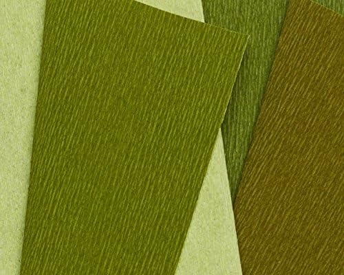 Ролка Двустранен Гофрирана хартия Lia Griffith, 6,7 Кв. Фута, със Зелен чай и Сайпръс, папоротниками и Мъх