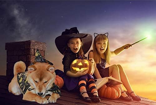 Vehomy куче Хелоуин костюм на куче, котка на Хелоуин вещица, дъждобран-наметало и кученце, коте, вещица, шапка с