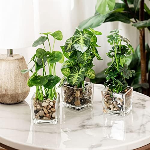MyGift Комплект от 3 Изкуствени Растения, Изкуствена Настолна Билки с Прозрачни Стъклени Тенджери